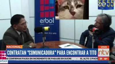 Bolivian minister hires an 