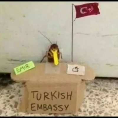 Turkish embassy