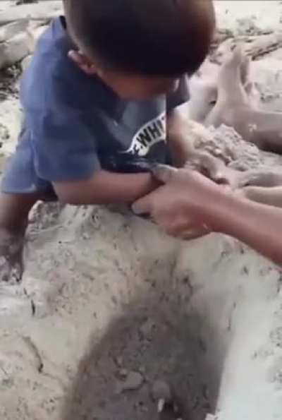 Kid learns how not to pick up a crab