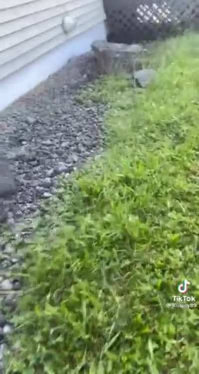 Just a guy trying to run a business. Credit jknappy89 on TIKTOK