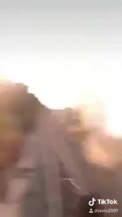 Естественный отбор