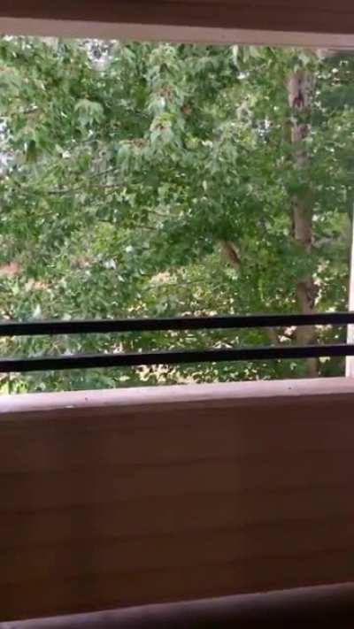 Got some nice rain today