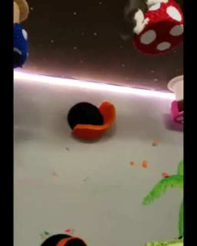 Gravity.exe stopped working