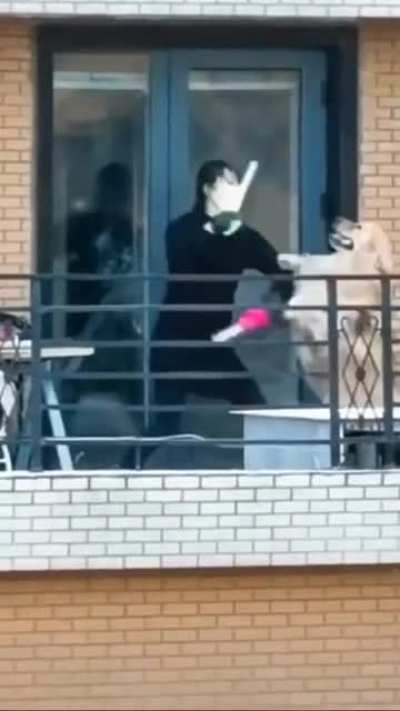 Kung fu Dog
