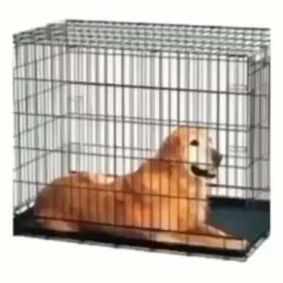 Hes outta his cage