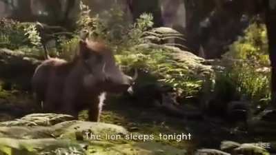 I think this is the longest video on this sub