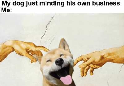 Tickles for everyone
