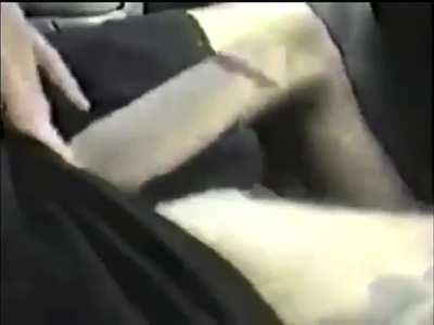 Tommy Lee’s thick floppy cock
