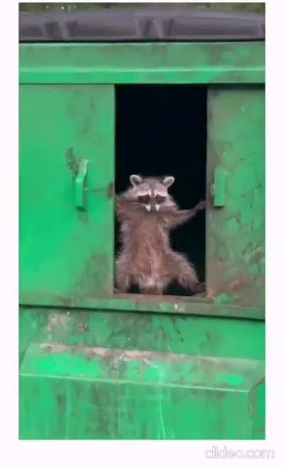 knock knock