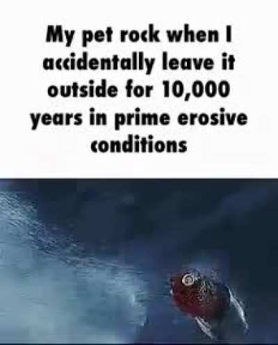 dang