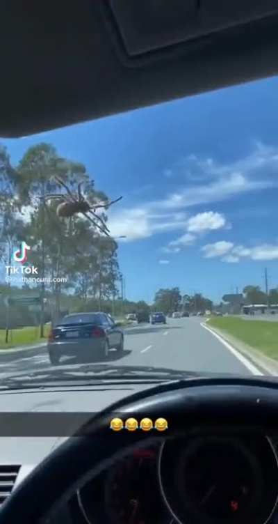 A day in Australia.