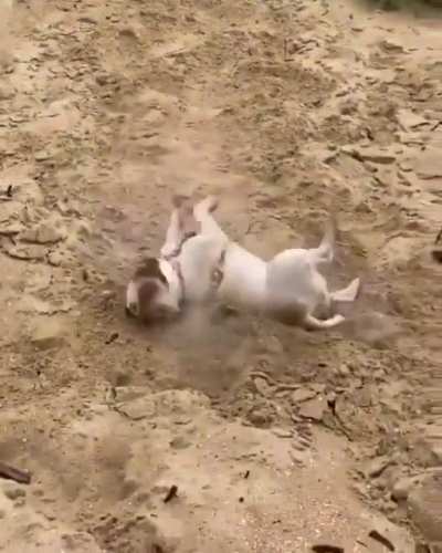 Inverted Zoomies .