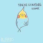 Parrots during the coronavirus! Made this animation for my comic - hope you like it!!!