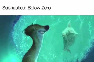 Surly Jack can Relate