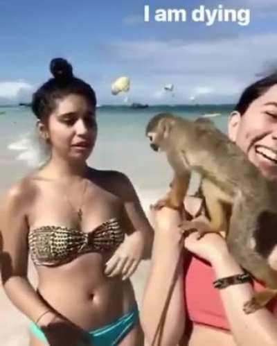 At the beach
