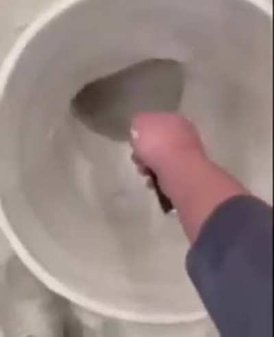 You need a curved putty knife