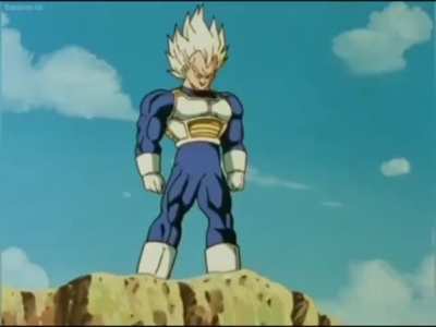 Vegeta has some advice