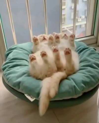 So many awwwssss
