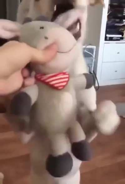 Is mine