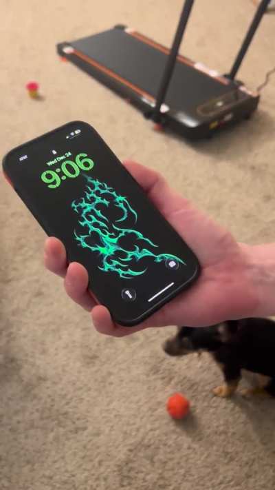 Why is my phone screen flashing every time the display turns on?