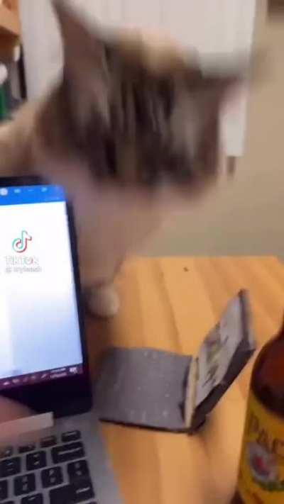 não mexe nas minhas coisas