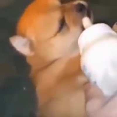 🗿