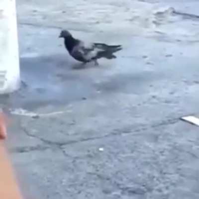 VAI DI LADIN