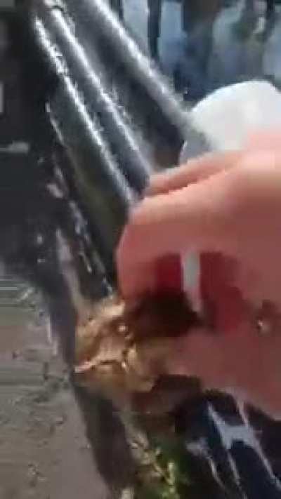 Muhahaha