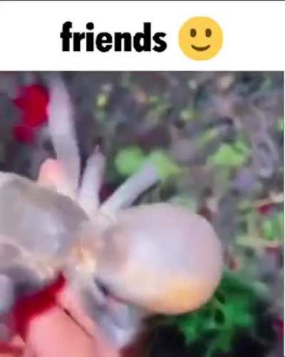 Warning Frens