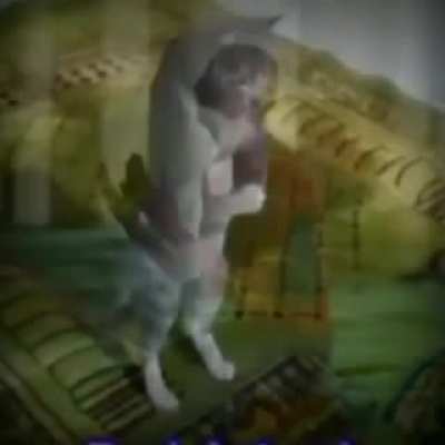 يراها الله صرخة ، إذا فعلت ذلك ، فسوف تسقط في جهنمي 😡😠💏❗✖<wbr>🍒🍑🍆🇵🇰<wbr>🇸🇦🕋🗿