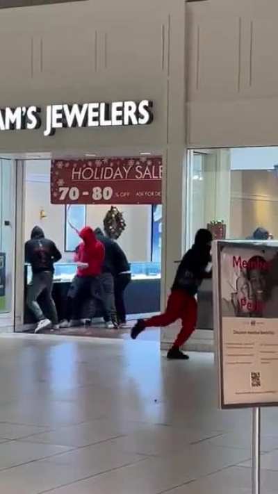 Mob loots a Sam’s Jewelers inside Southland Mall