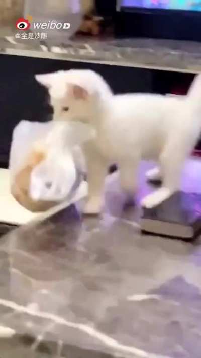 Robbery gone wrong