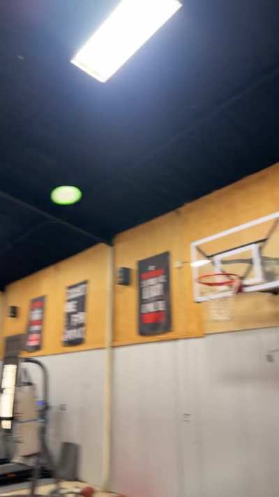 Frisbee basketball