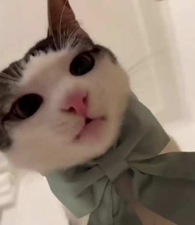 Nom nom nom
