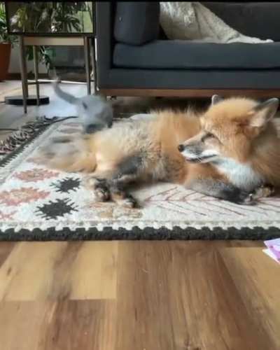 Play time