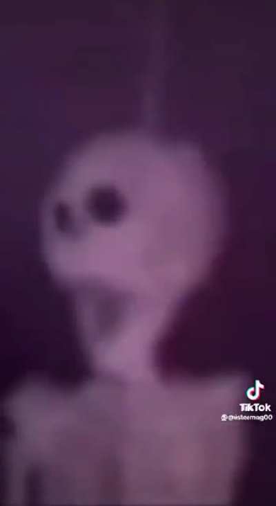I've got a perfect body