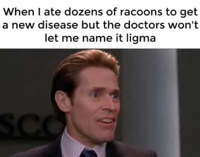 Racoon