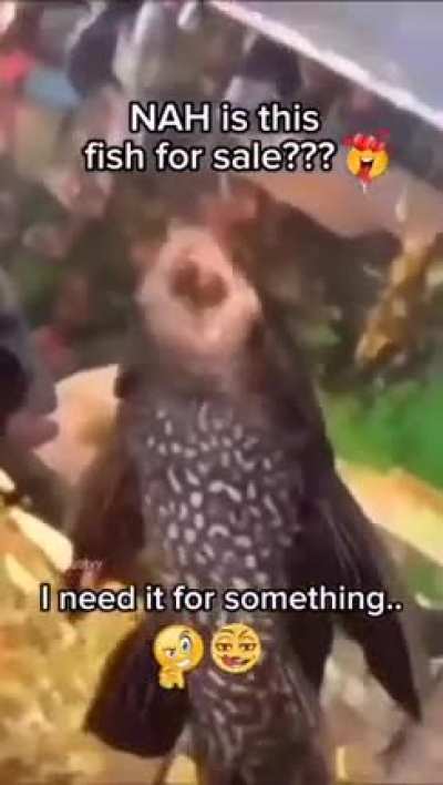 AYOOOO