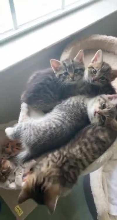 Mooooooooom!