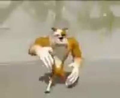 Doggo