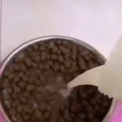 Que le pasa al perro?