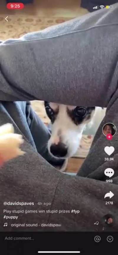 Ауч