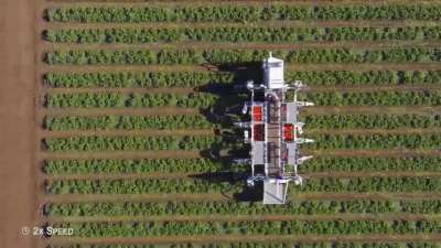 Giant farming robot uses 3D vision and robotic arms to harvest ripe strawberries
