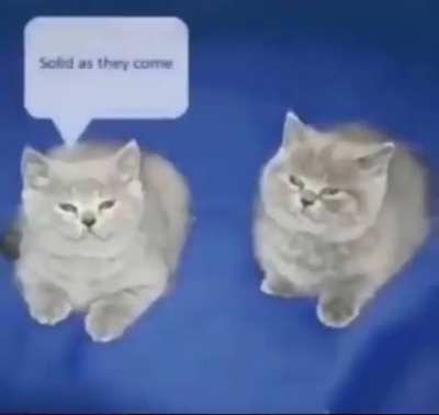 Rule