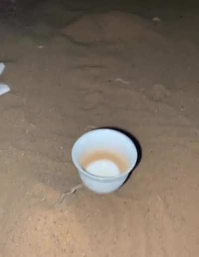 Spinning mug.