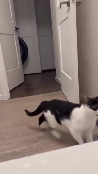 To help the human