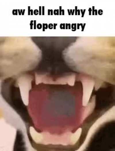 Rule