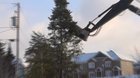 This tree choppy boy