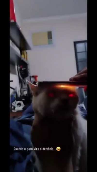 Evil