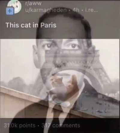 Ya saben cuál es el nombre del gato del papá de Uriel